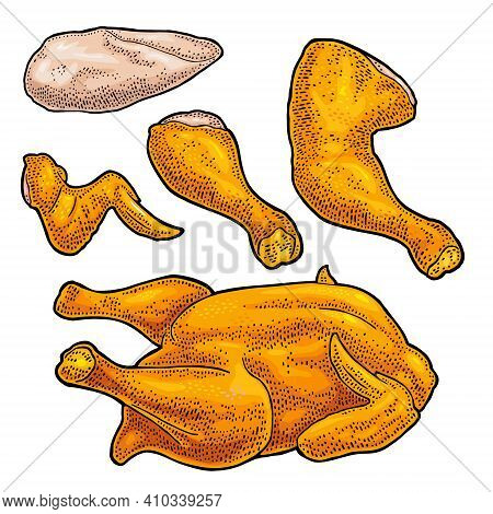 Part Cutting Of Roasted Chicken - Whole, Leg, Wing And Breast Halves. Vintage Color Engraving