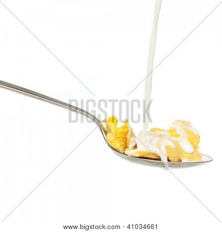 frisk korn conflakes og mælk