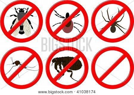 ingen insekter