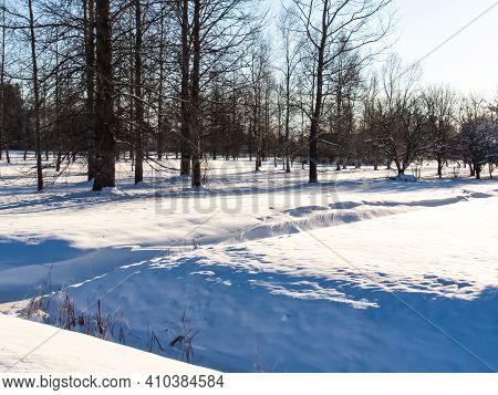 View Of Meadow And Ditch In The Park After Snowfall