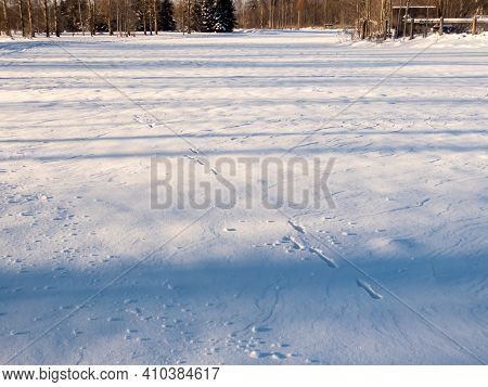 Meadow Covered With Snow And Footprints In Snow Of An Animal In Deep Snow