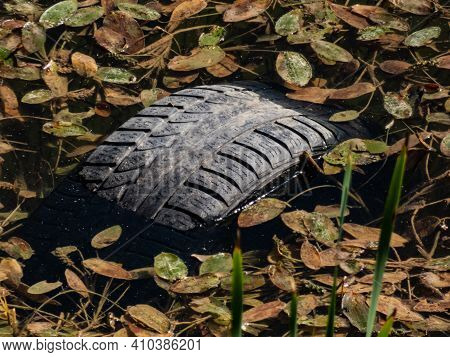 Lake Pollution. Floating Unrecycled And Abandoned Car Tire In The Water Overgrown And Surrounded Wit
