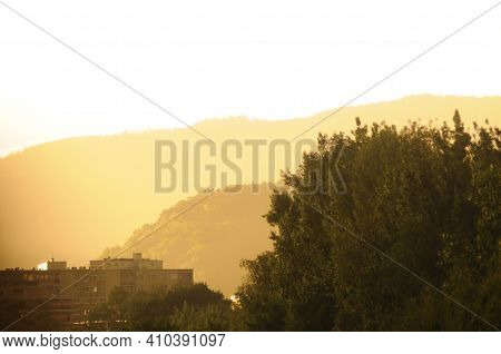 Light As Life Force In Nature