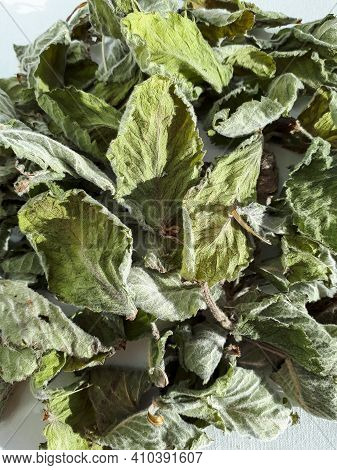 Dried Green Mint Tea Leaves