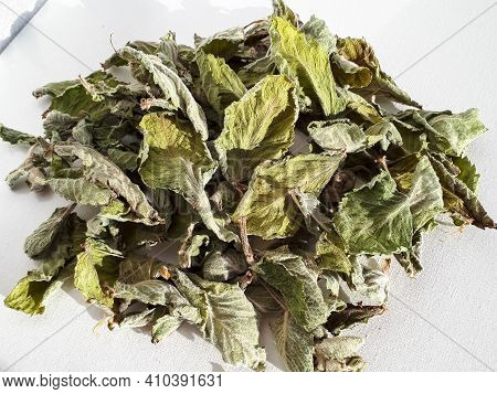 Dried Green Mint Tea Leaves