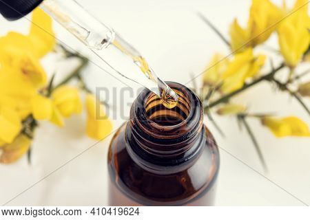 Close Up Of A Pipette, Amber Bottle And Yellow Flower Branch At Background. Gorse Essential Oil. Her