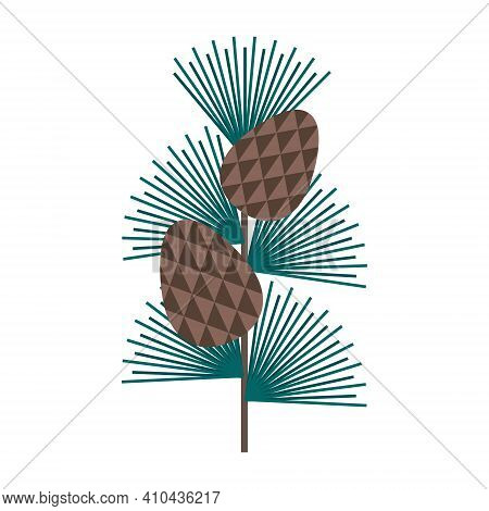 Simple Minimalistic Green Branch Of A Cedar With Needles And Brown Pine Cone. Floral Collection Of E