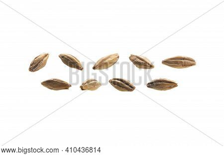 A Set Of Barley Malt Grains. Isolated On A White Background