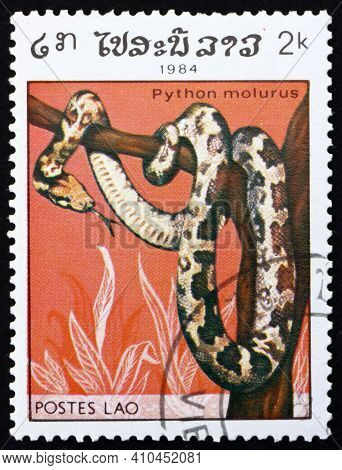 Laos - Circa 1984: A Stamp Printed In Laos Shows Indian Python, Python Molurus, Is A Large, Nonvenom