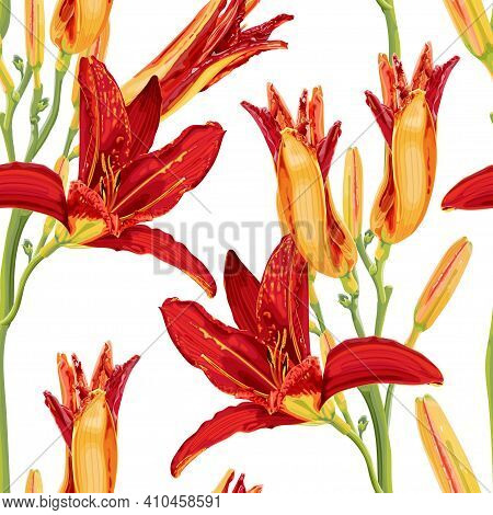 Seamless Pattern With Bright Red And Yellow Daylily Flowers. Botanical Illustration With Hemerocalli