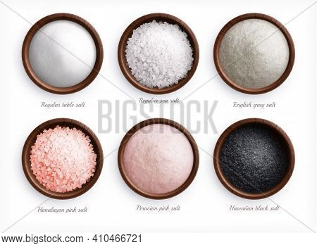Salt Types Realistic Set With Top View Of Colorful Sea Salt In Dishes With Text Captions Vector Illu