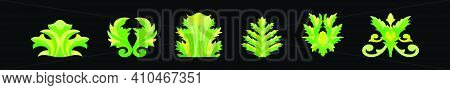 Set Of Acanthus Leaf Cartoon Icon Design Template With Various Models. Modern Vector Illustration Is