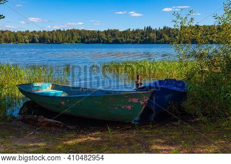 In The Background Is A Green Forest Growing On The Other Side