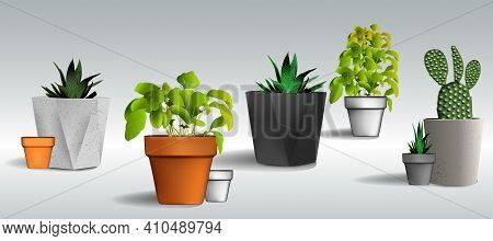 A Set Of Pots Of Different Shapes, Empty Pots And Pots With Flowers And Plants. Potted Plants Eps 8 