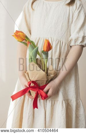 A Girl In A Dress Is Holding A Pot Of Red Tulips. Depersonalization, A Trend Without A Face. Congrat