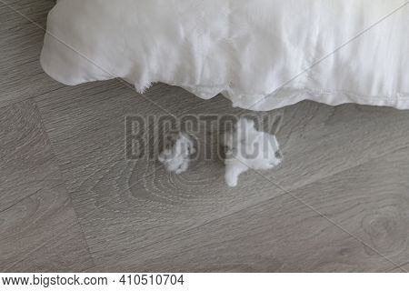 A Lump Of Pillow Filler Lies Next To A Torn Pillow On A Light Wooden Table. Close-up. Selective Focu