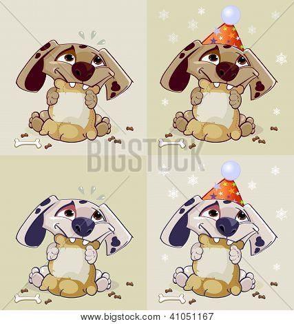 Puppy
