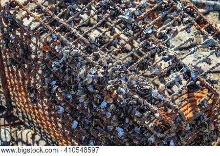 Rusty And Damaged Shopping Cart Found In The Port Of Kiel In Germany