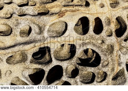 Tafoni Rock Formations In Coastal California. Bean Hollow State Beach, San Mateo County, California,