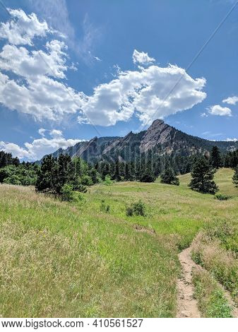 Dense Vegetation In The Forefront Laying Below The Flat Irons In Boulder, Colorado.