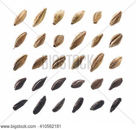 Large Set Of Malt On A White Background