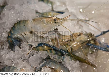 Fresh Prawns Are Placed On An Ice Tray In A Fresh Market.
