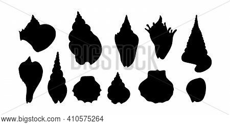 Silhouette Set Of Sea Shell. Various Shape Sea Shell. Different Sea Shell Form. Vector Illustration