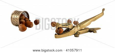 Coccodrillo in acciaio dado schiacci strumento Coppa Turn Cobnut