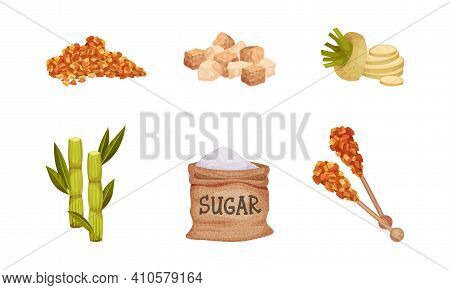 White Sugar In Sack And Pile Of Brown Sugar In Cubes With Sugar Beet And Sugarcane Plant Vector Set