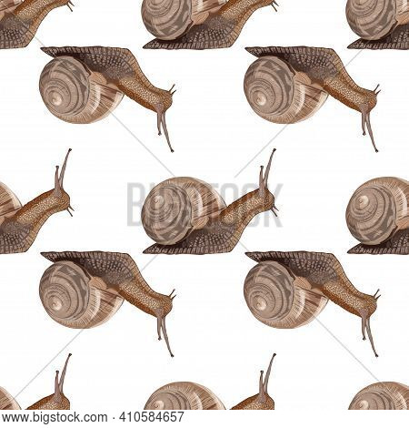 Realistic Snail Seamless Pattern On White Background - Vector