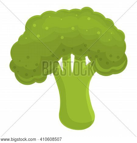 Broccoli Vegetable Icon. Cartoon Of Broccoli Vegetable Vector Icon For Web Design Isolated On White 