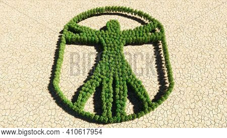 Concept or conceptual group of green forest tree on dry ground background, sign of  vitruvius man. A 3d illustration metaphor for architecture, renaissance, anthropology and physiology