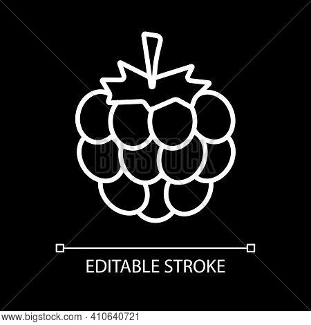Fresh Raspberry White Linear Icon For Dark Theme. Natural Ripe Fruit. Vitamin In Food. Thin Line Cus