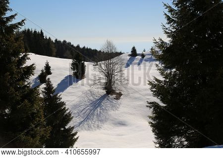 View Of The Landscape Near The Col Dei Scios In Friuli Venezia Giulia, Italy. High Quality Photo