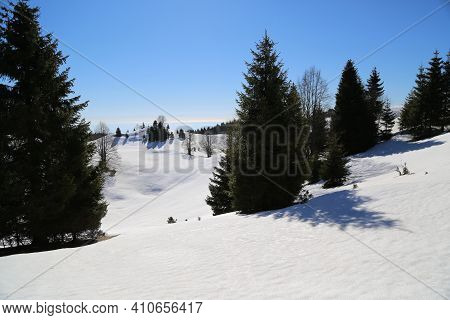 View Of The Landscape Near The Col Dei Scios In Friuli Venezia Giulia, Italy. High Quality Photo