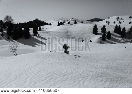 View Of The Landscape Near The Col Dei Scios In Friuli Venezia Giulia, Italy. High Quality Photo