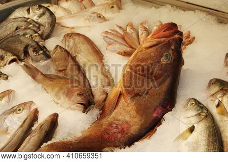 Various Kinds Of Sea Fish At Market Stall. Seafood Display With Fresh Fish On Ice.