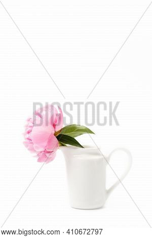 Innocence And Delicacy Minimalistic Valentine Day Concept, One Single Flower Of Pink Peony In Small 