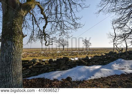 Springtime View At The Great Fields By Ottenby On The Island Oland In Sweden