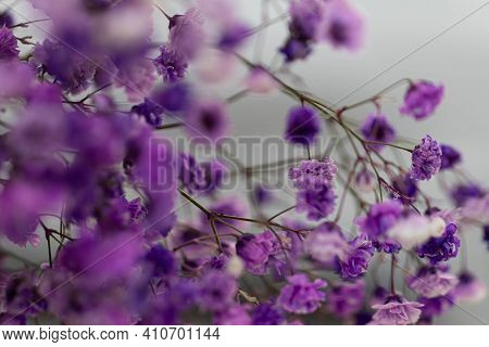 Beautiful Bouquet Of Lilacflowers. Dried Flowers. Lavender Or Verbena.