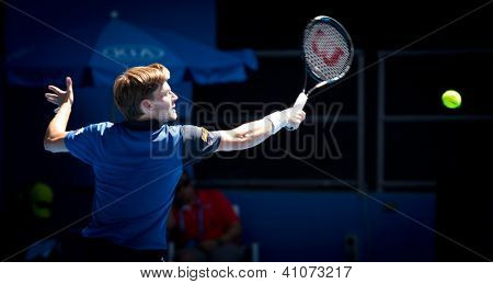MELBOURNE - 14 gennaio: David Goffin del Belgio nella sua prima sconfitta rotonda a Fernando Verdasco di Spa