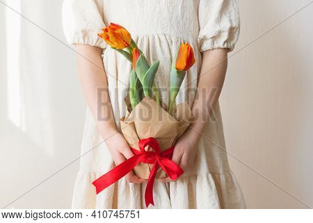 Potted Tulips In The Hands Of A Girl In A Beige Dress. Depersonalization. Congratulations On The Hol