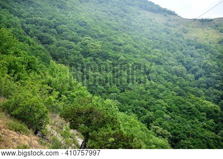 Deciduous Forest Covering Mountains. The Fog Is Ascending. Markotkh Ridge