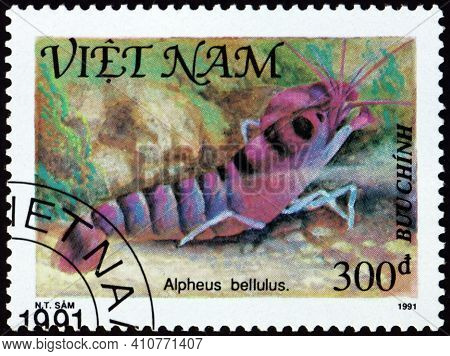 Vietnam - Circa 1991: A Stamp Printed In Vietnam Shows Tiger Pistol Shrimp, Alpheus Bellulus, Shellf