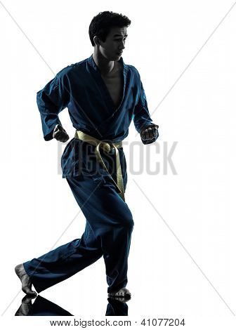 en asiatisk ung mand udøvelsen af kampsport karate vietvodao i silhuet studio isoleret på hvid 