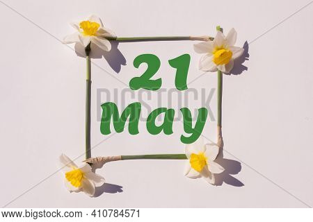 May 21th. Day 21 Of Month, Calendar Date. Frame From Flowers Of A Narcissus On A Light Background, P