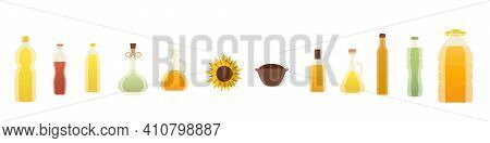 Vector Oil Bottles Illustrations. Sunflower, Olive, Corn, Seed, Walnut, Avocado Oil. Isolated Cartoo