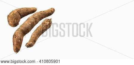 Manihot Esculenta (cassava, Yuca, Manioc, Mandioca, Brazilian Arrowroot)