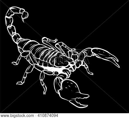 Silhouette Illustration Of Scorpion Arachnid Insect. Vector Graphics