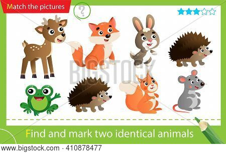Find And Mark Two Identical Animals. Puzzle For Kids. Matching Game, Education Game For Children. Co